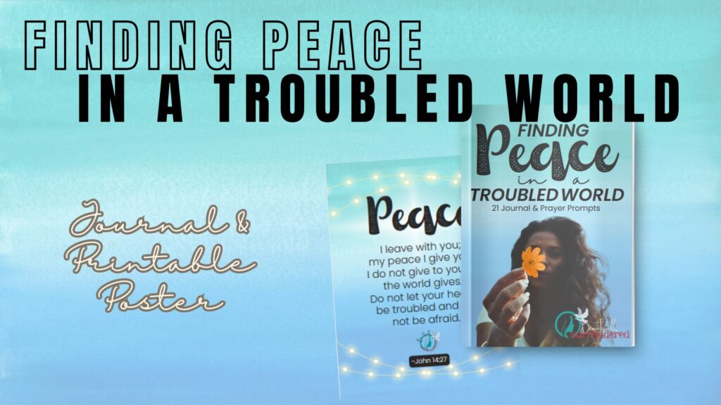 Finding Peace in a Troubled World (Journal Workbook & Poster)